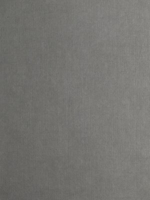 cover image of Paul Gauguin